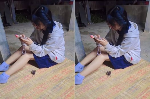 Tình yêu không thể cưỡng lại khiến chúng ta ôm nhau ngay khi bạn đến nhà